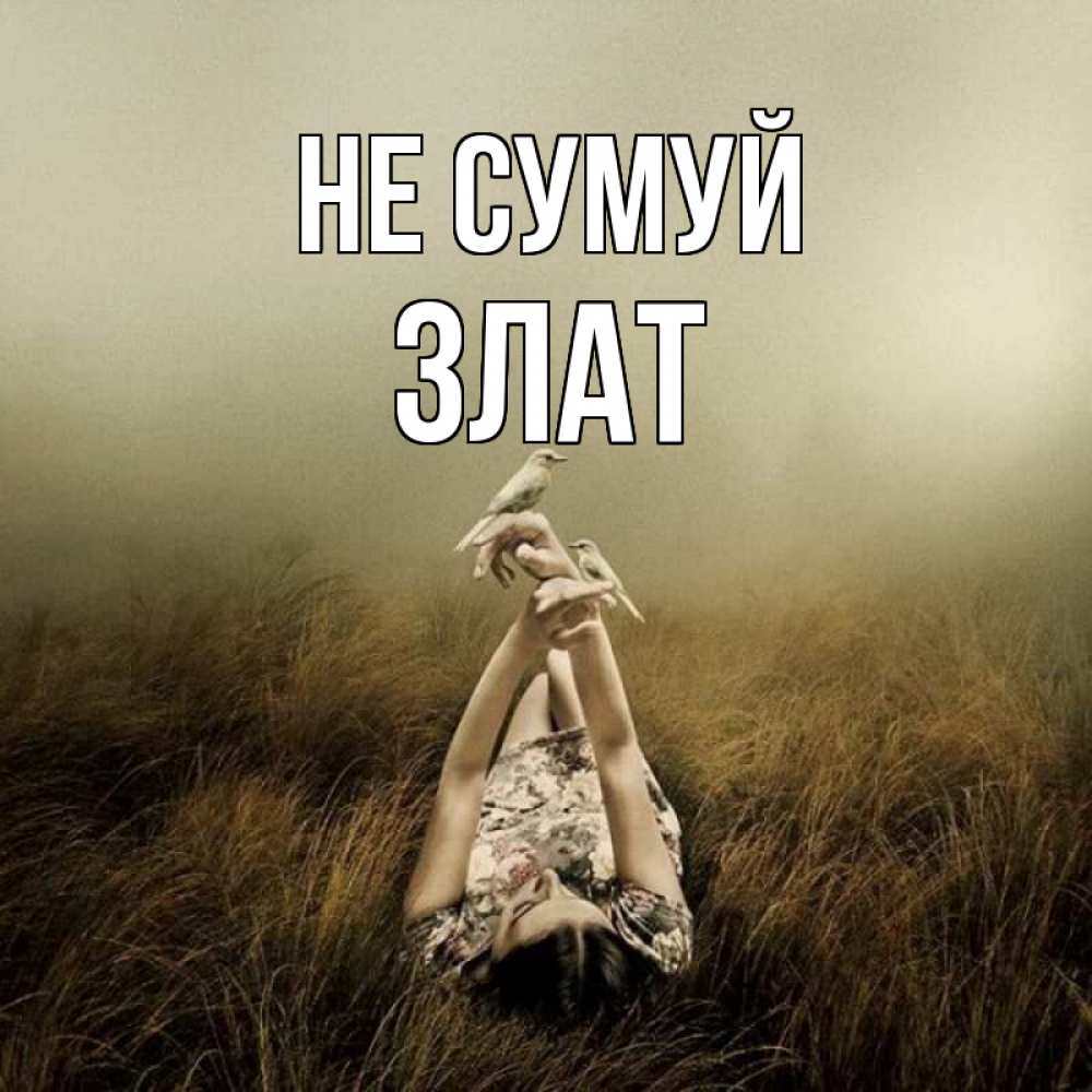 Открытка на каждый день з підписом, Злат Не сумуй поле и туман Прикольна листівка з побажанням онлайн скачати безкоштовно 