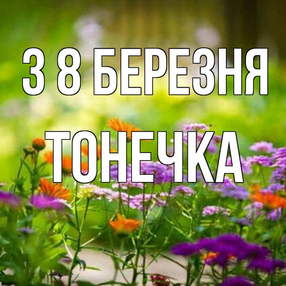 Открытка на каждый день з підписом, Тонечка З 8 БЕРЕЗНЯ цветы Прикольна листівка з побажанням онлайн скачати безкоштовно 