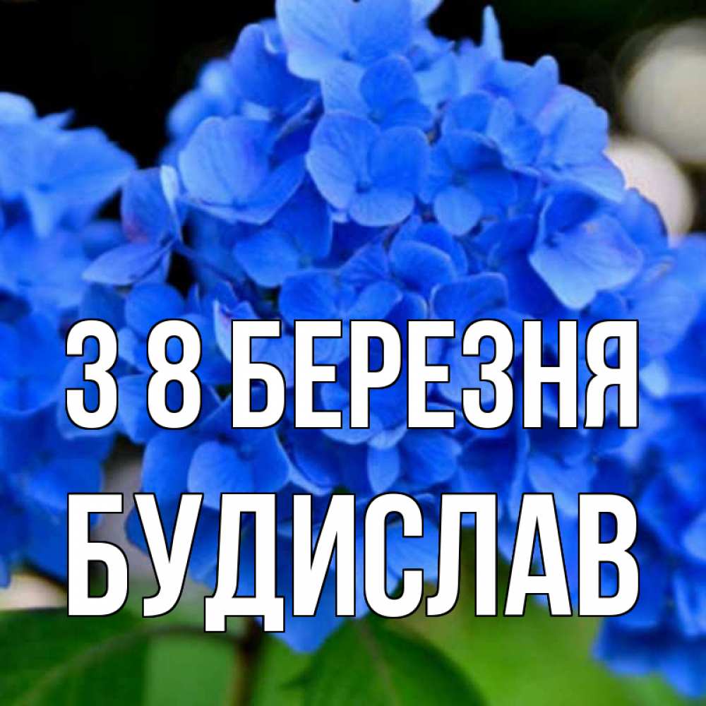 Открытка на каждый день з підписом, Будислав З 8 БЕРЕЗНЯ синие цветы Прикольна листівка з побажанням онлайн скачати безкоштовно 