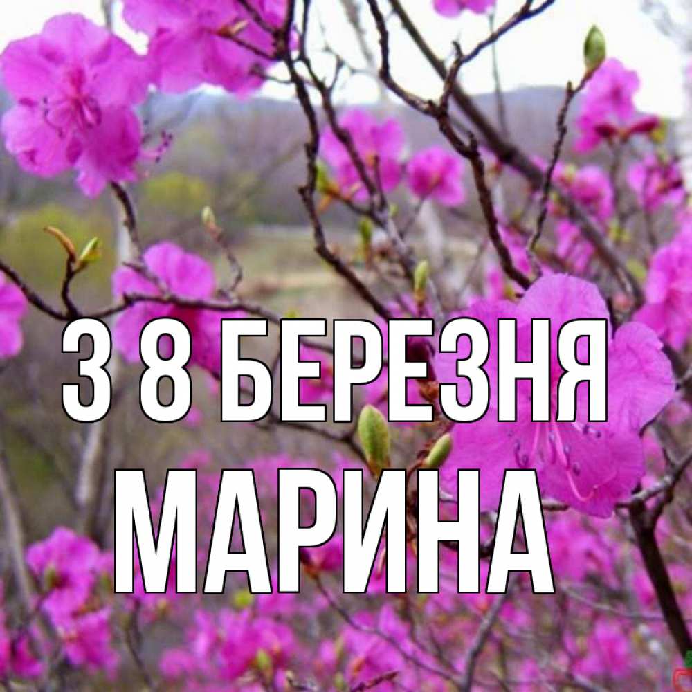 Открытка на каждый день з підписом, Марина З 8 БЕРЕЗНЯ международный женский день Прикольна листівка з побажанням онлайн скачати безкоштовно 