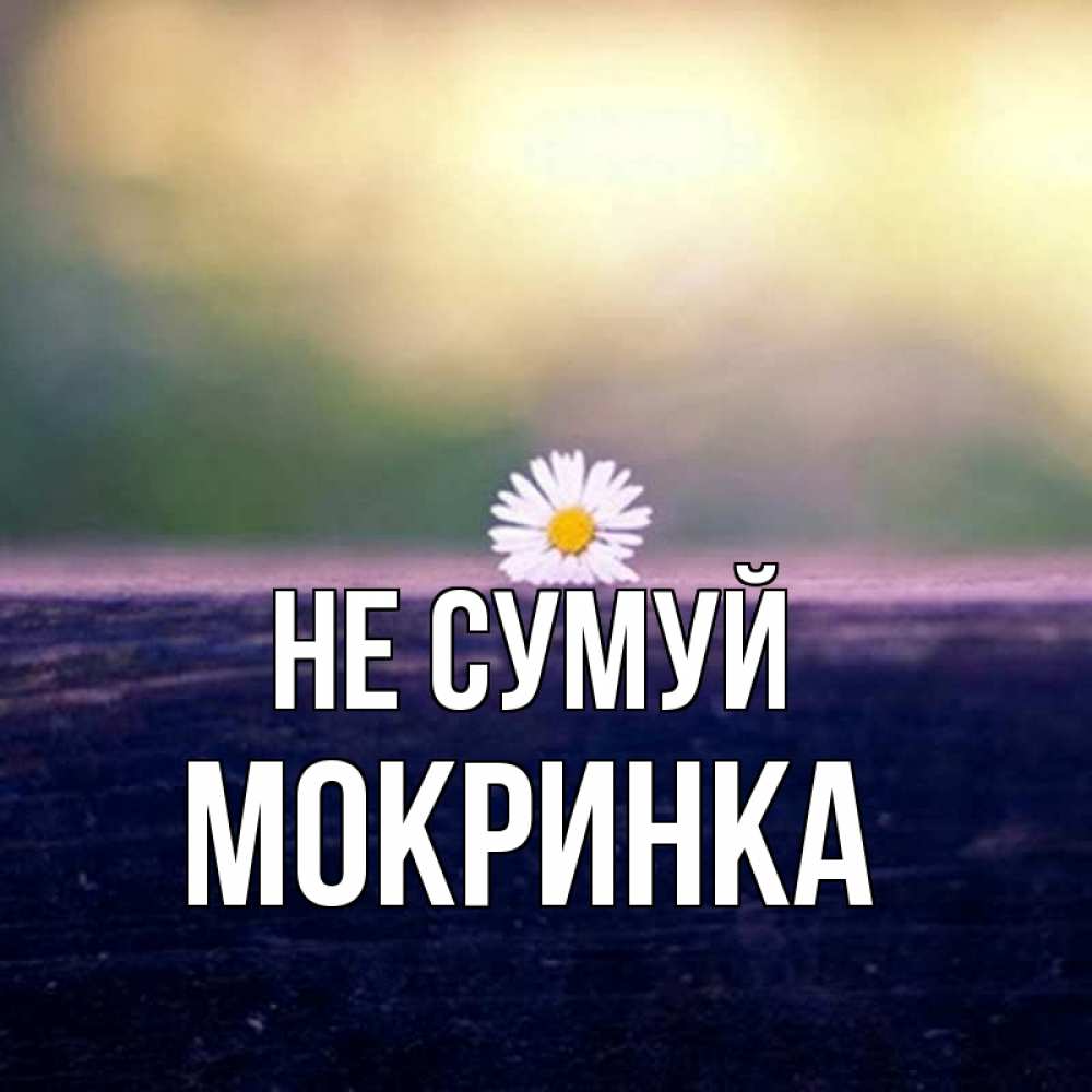 Открытка на каждый день з підписом, Мокринка Не сумуй красота Прикольна листівка з побажанням онлайн скачати безкоштовно 