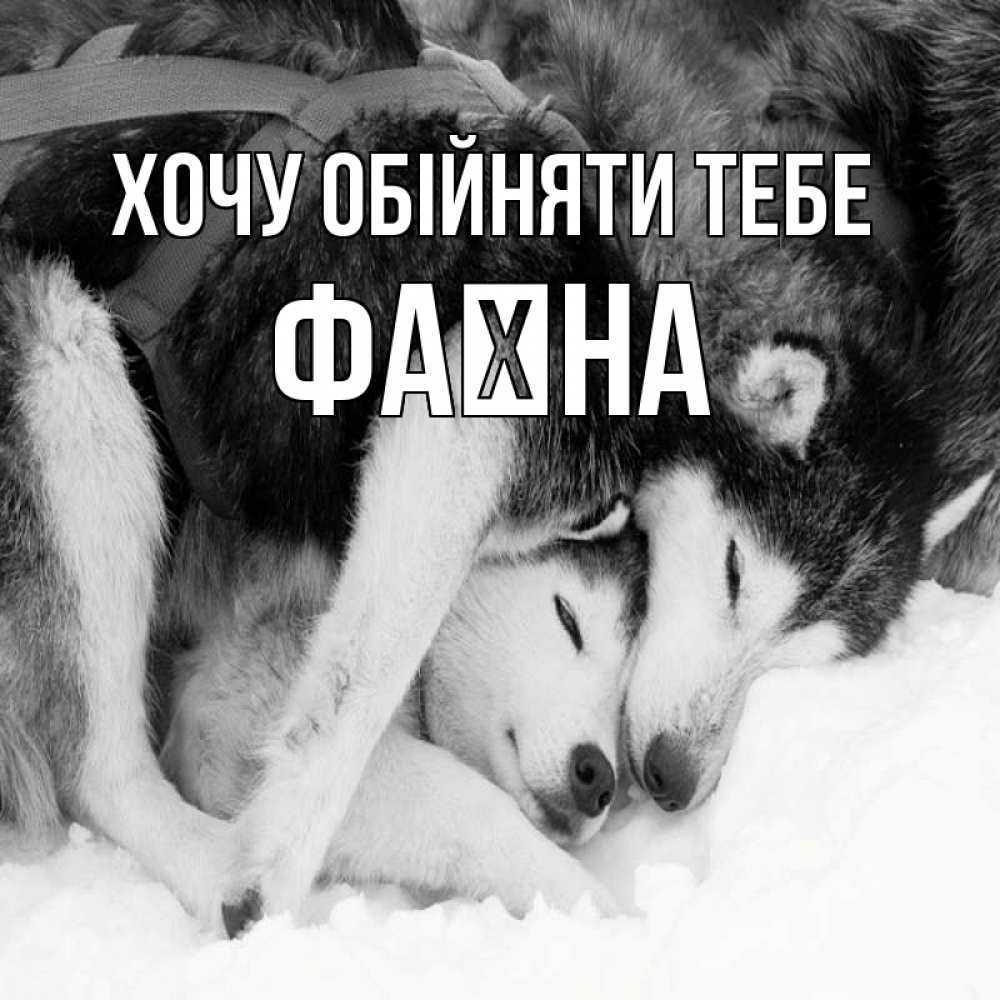 Открытка на каждый день з підписом, Фаїна Хочу обійняти тебе собачки в упряжке Прикольна листівка з побажанням онлайн скачати безкоштовно 
