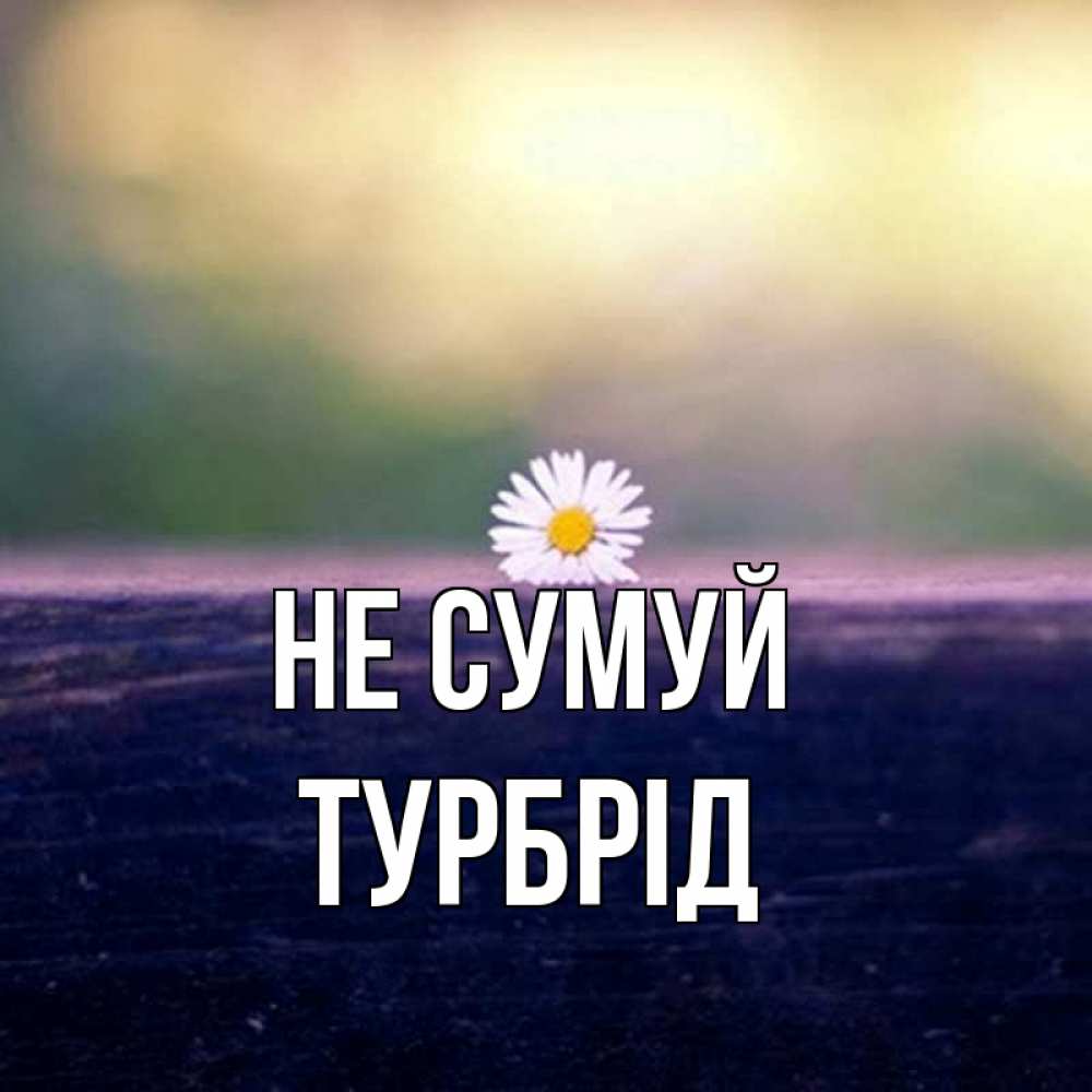 Открытка на каждый день з підписом, Турбрід Не сумуй красота Прикольна листівка з побажанням онлайн скачати безкоштовно 
