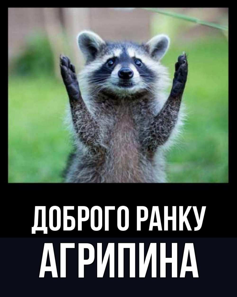 Открытка на каждый день з підписом, Агрипина Доброго ранку хорошее настроение утречком Прикольна листівка з побажанням онлайн скачати безкоштовно 