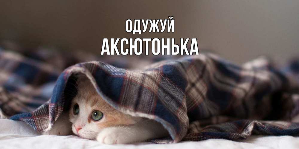 Открытка на каждый день з підписом, Аксютонька Одужуй не болейте с котиком Прикольна листівка з побажанням онлайн скачати безкоштовно 