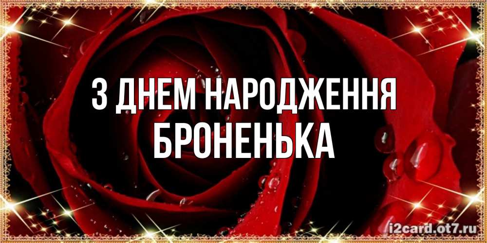 Открытка на каждый день з підписом, Броненька З Днем народження цветок в росе на день рождения Прикольна листівка з побажанням онлайн скачати безкоштовно 