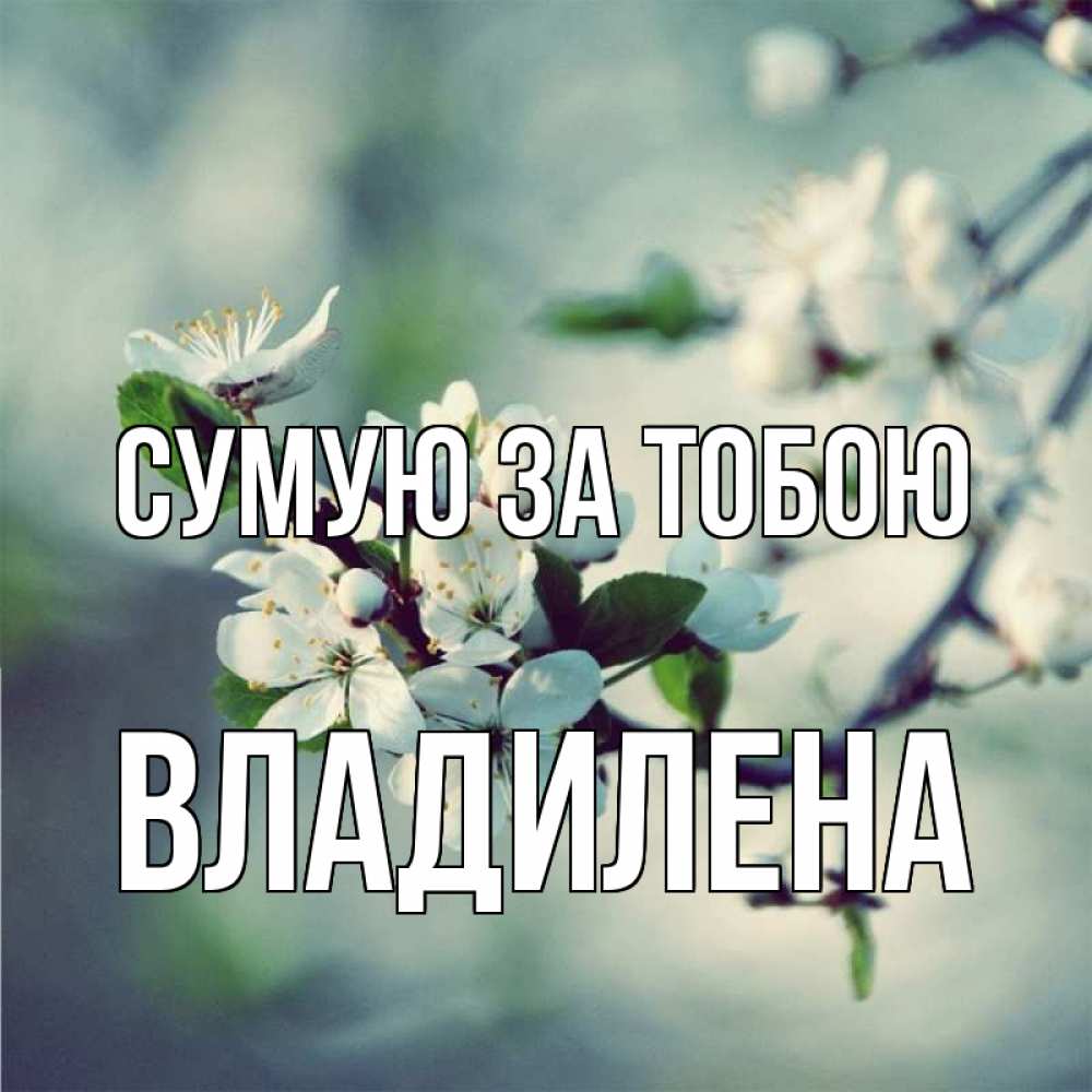 Открытка на каждый день з підписом, Владилена Сумую за тобою весна Прикольна листівка з побажанням онлайн скачати безкоштовно 