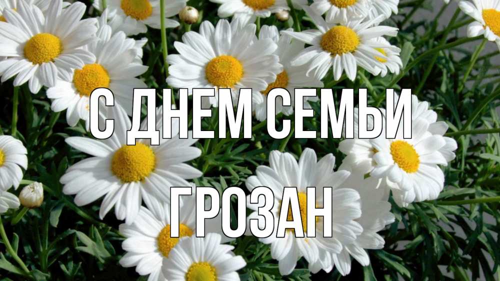 Открытка на каждый день з підписом, Грозан С днем семьи с днем семьи Прикольна листівка з побажанням онлайн скачати безкоштовно 
