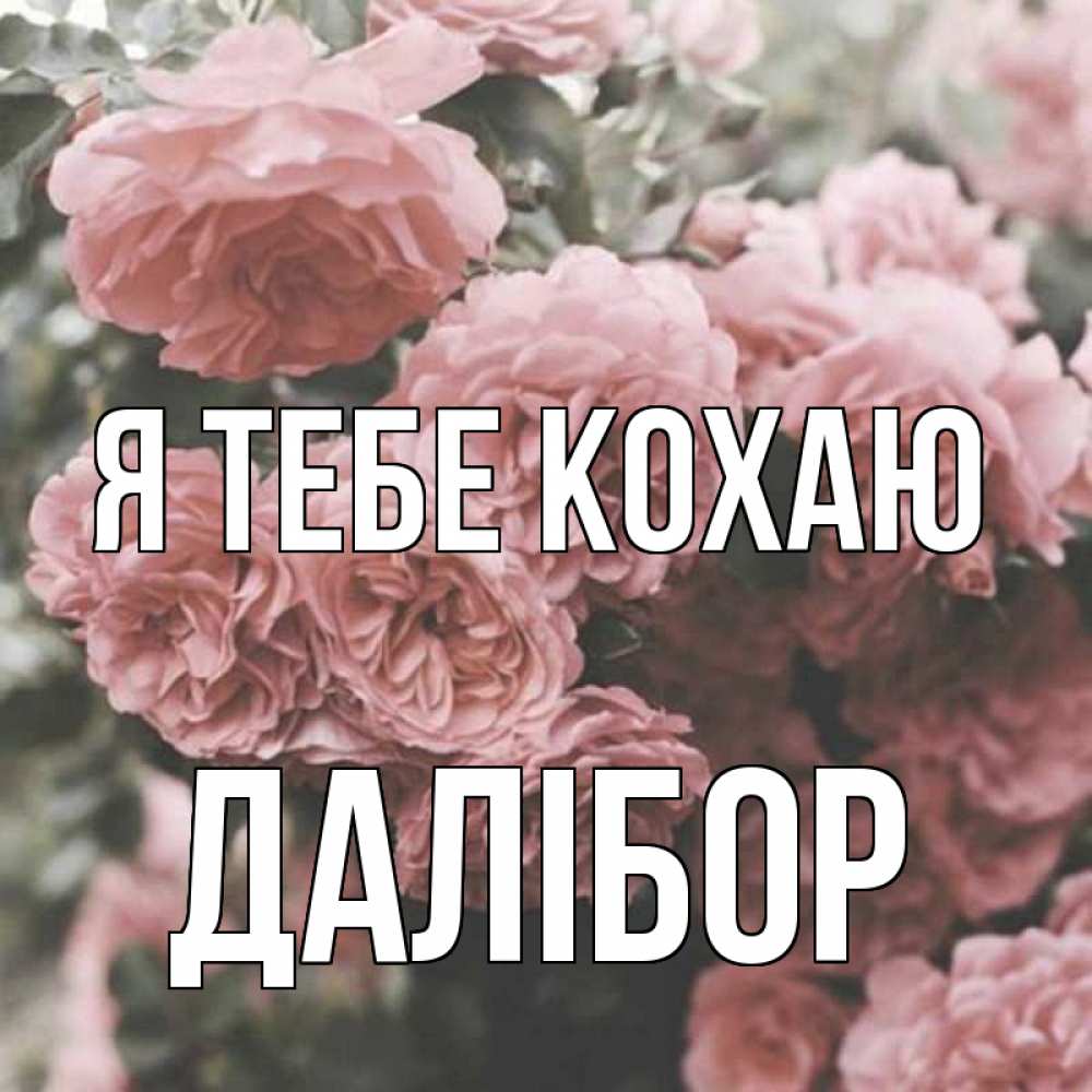 Открытка на каждый день з підписом, Далібор Я тебе кохаю розы 3 Прикольна листівка з побажанням онлайн скачати безкоштовно 