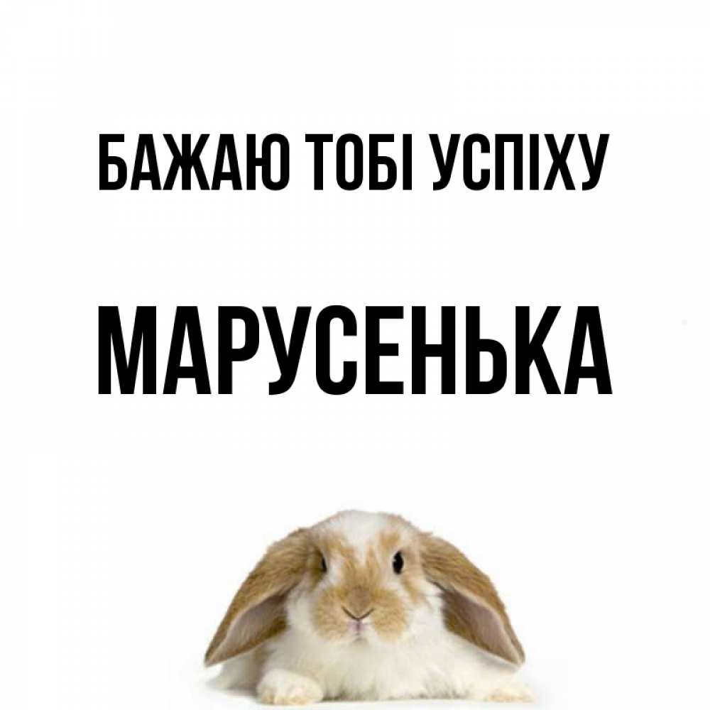 Открытка на каждый день з підписом, Марусенька Бажаю тобі успіху открытки с произвольным текстом который можно вставить в открытку и создать ее самостоятельно бесплатно онлайн Прикольна листівка з побажанням онлайн скачати безкоштовно 