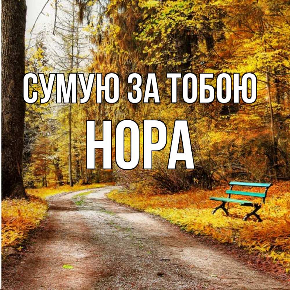 Открытка на каждый день з підписом, Нора Сумую за тобою зеленая лавочка и осенний лес Прикольна листівка з побажанням онлайн скачати безкоштовно 