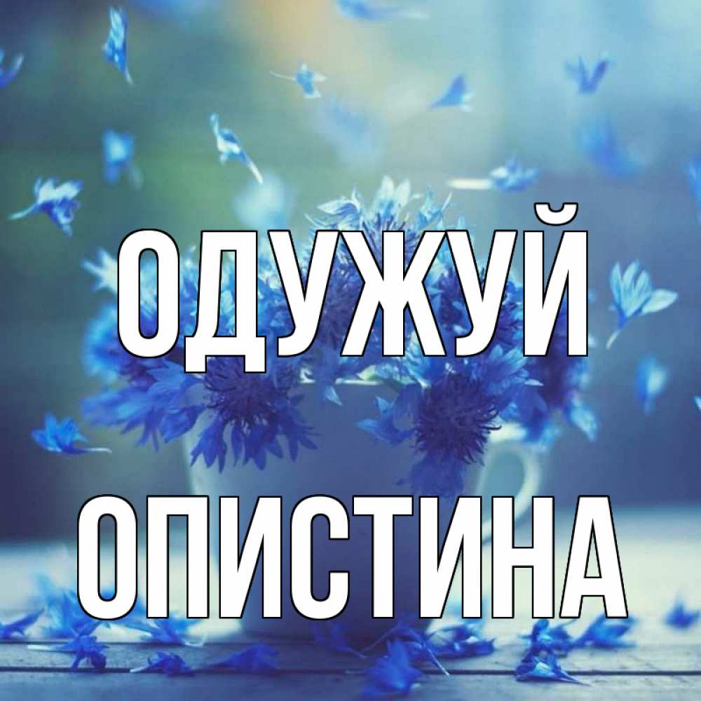 Открытка на каждый день з підписом, Опистина Одужуй кружка с зельем и цветами Прикольна листівка з побажанням онлайн скачати безкоштовно 