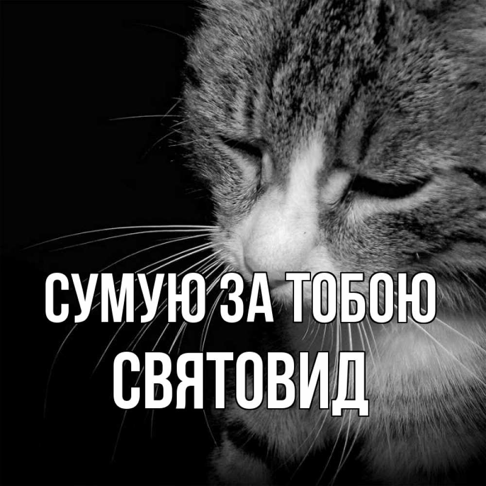 Открытка на каждый день з підписом, Святовид Сумую за тобою мне скучно Прикольна листівка з побажанням онлайн скачати безкоштовно 