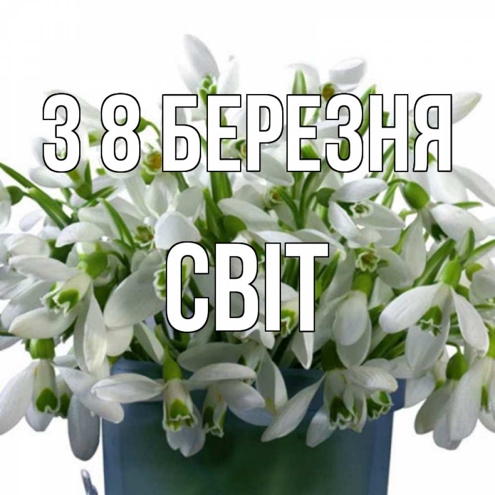 Открытка на каждый день з підписом, Світ З 8 БЕРЕЗНЯ цветы к международному женскому дню Прикольна листівка з побажанням онлайн скачати безкоштовно 