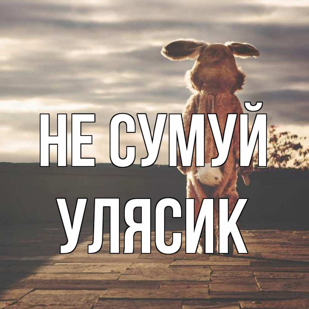 Открытка на каждый день з підписом, Улясик Не сумуй со спины Прикольна листівка з побажанням онлайн скачати безкоштовно 