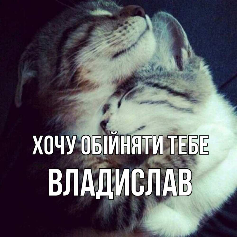 Открытка на каждый день з підписом, Владислав Хочу обійняти тебе полосатики Прикольна листівка з побажанням онлайн скачати безкоштовно 