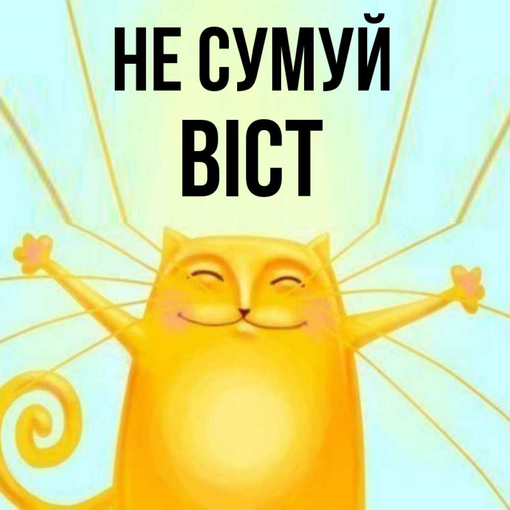 Открытка на каждый день з підписом, Віст Не сумуй обнимашки усатые Прикольна листівка з побажанням онлайн скачати безкоштовно 