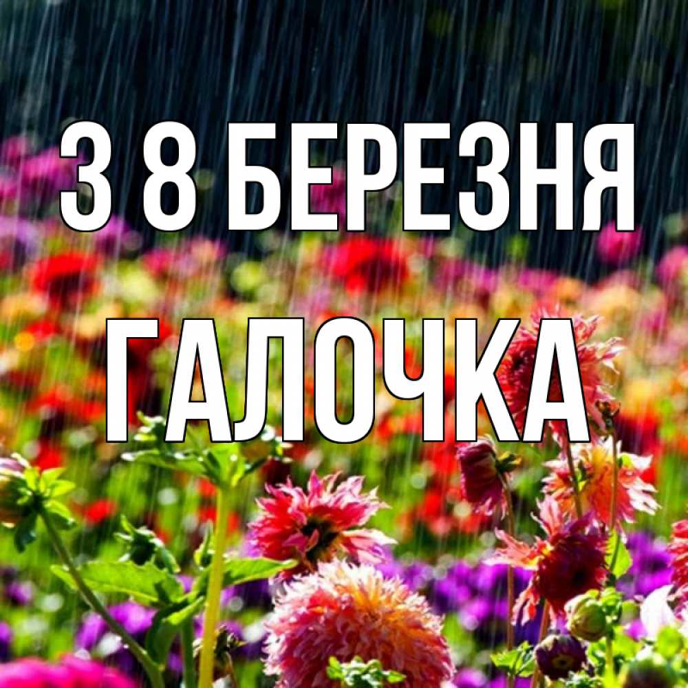 Открытка на каждый день з підписом, Галочка З 8 БЕРЕЗНЯ цветы под дождиком к международному женскому дню Прикольна листівка з побажанням онлайн скачати безкоштовно 