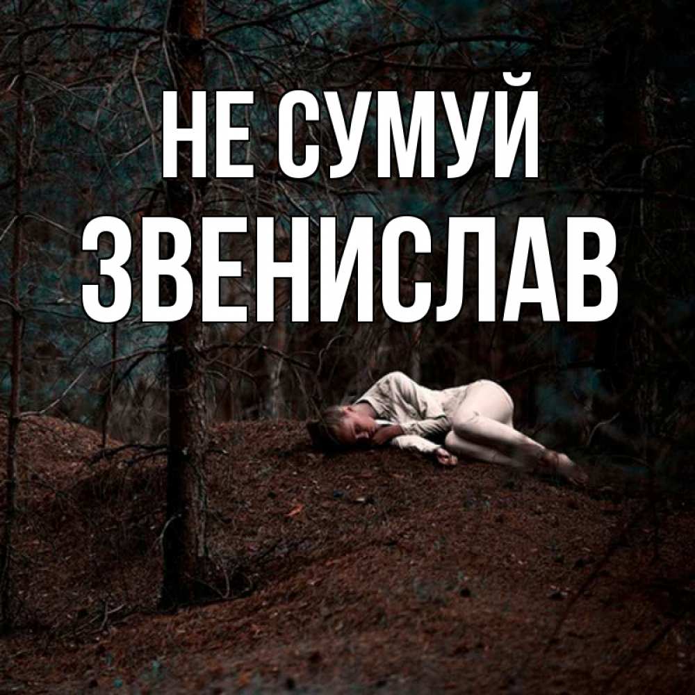 Открытка на каждый день з підписом, Звенислав Не сумуй лес Прикольна листівка з побажанням онлайн скачати безкоштовно 