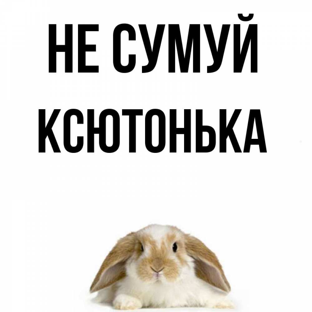 Открытка на каждый день з підписом, Ксютонька Не сумуй коричнево белый заяц с большими ушками Прикольна листівка з побажанням онлайн скачати безкоштовно 