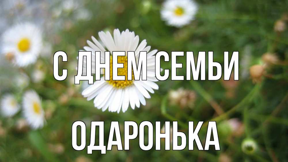 Открытка на каждый день з підписом, Одаронька С днем семьи с днем семьи Прикольна листівка з побажанням онлайн скачати безкоштовно 