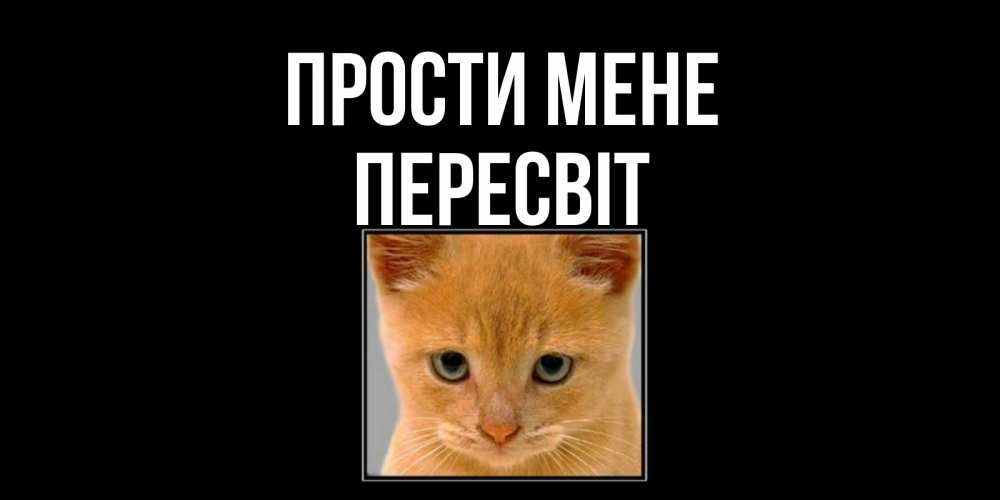 Открытка на каждый день з підписом, Пересвіт Прости мене рыжий грустный кот просит прощения Прикольна листівка з побажанням онлайн скачати безкоштовно 