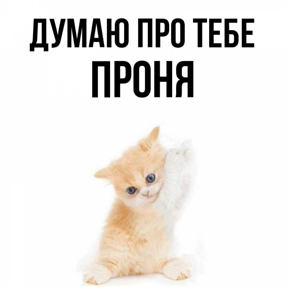 Открытка на каждый день з підписом, Проня Думаю про тебе зверушки и милота Прикольна листівка з побажанням онлайн скачати безкоштовно 
