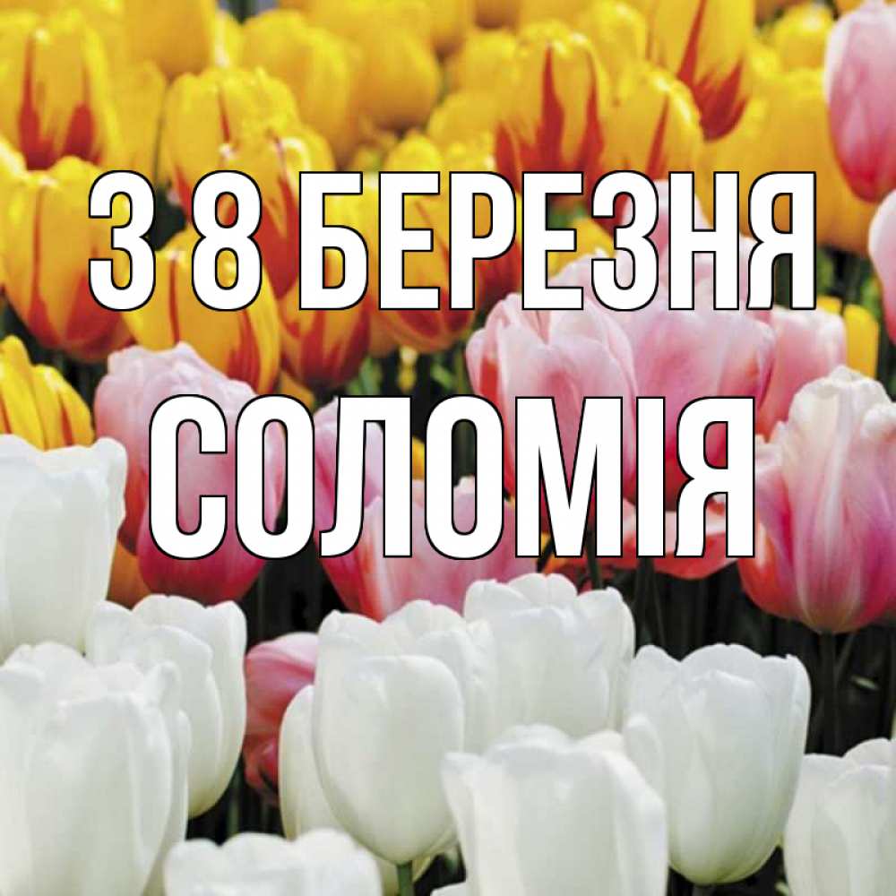 Открытка на каждый день з підписом, Соломія З 8 БЕРЕЗНЯ разноцветные цветы Прикольна листівка з побажанням онлайн скачати безкоштовно 
