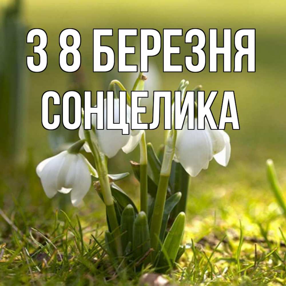 Открытка на каждый день з підписом, Сонцелика З 8 БЕРЕЗНЯ ранние цветы 2 Прикольна листівка з побажанням онлайн скачати безкоштовно 