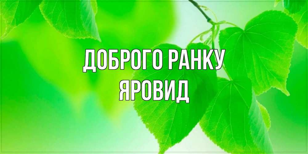Открытка на каждый день з підписом, Яровид Доброго ранку доброе утро с березовыми листьями Прикольна листівка з побажанням онлайн скачати безкоштовно 