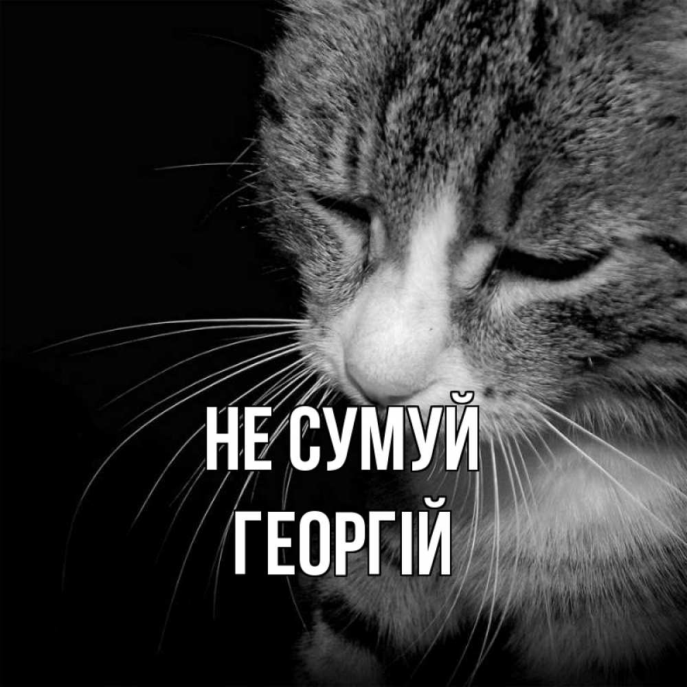 Открытка на каждый день з підписом, Георгій Не сумуй грустный котик Прикольна листівка з побажанням онлайн скачати безкоштовно 