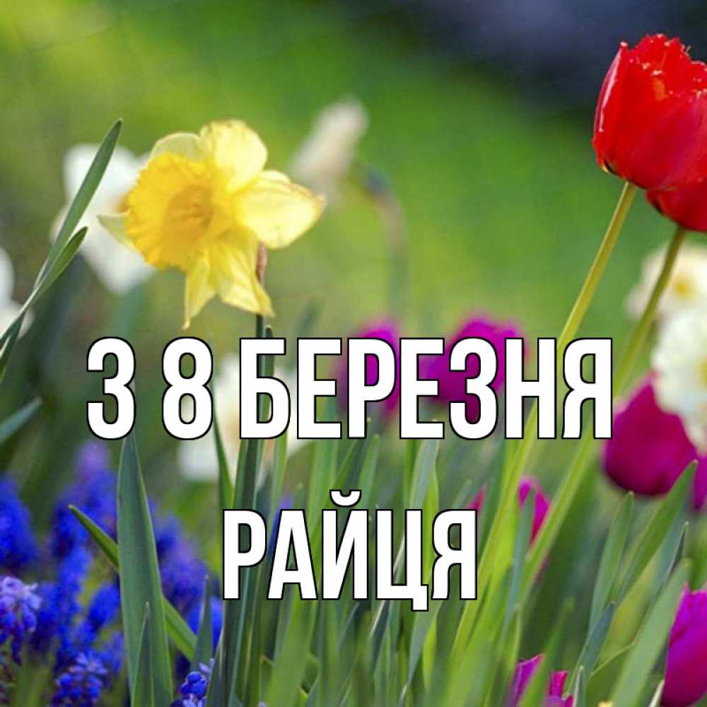 Открытка на каждый день з підписом, Райця З 8 БЕРЕЗНЯ международный женский день 3 Прикольна листівка з побажанням онлайн скачати безкоштовно 