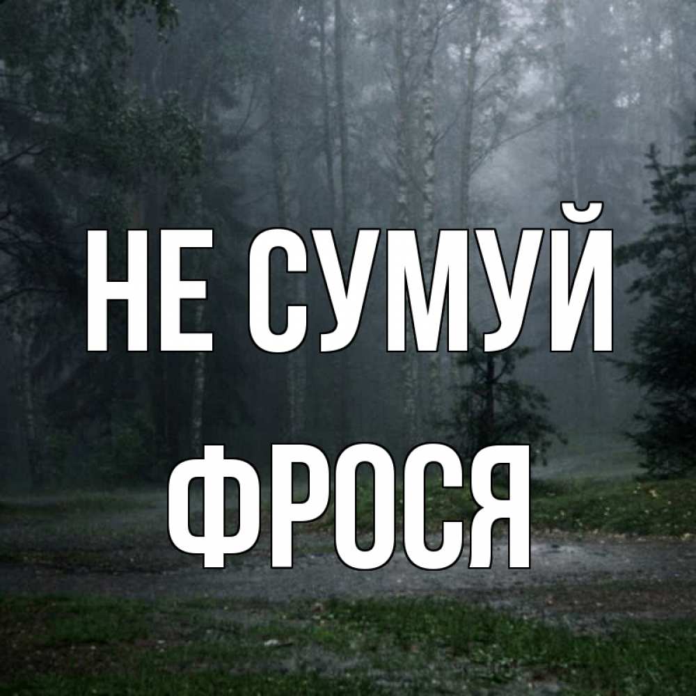 Открытка на каждый день з підписом, Фрося Не сумуй осень Прикольна листівка з побажанням онлайн скачати безкоштовно 