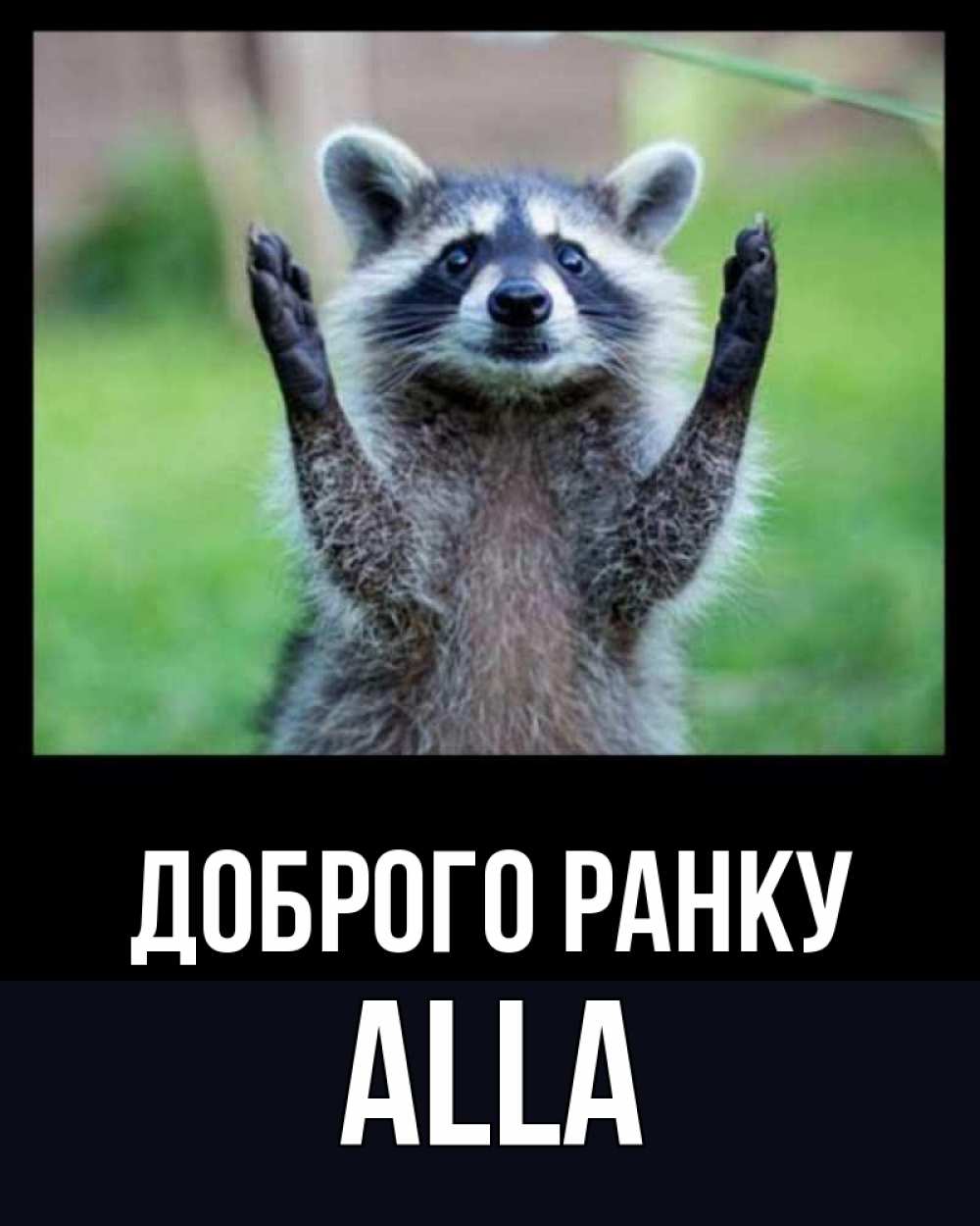 Открытка на каждый день з підписом, Alla Доброго ранку хорошее настроение утречком Прикольна листівка з побажанням онлайн скачати безкоштовно 