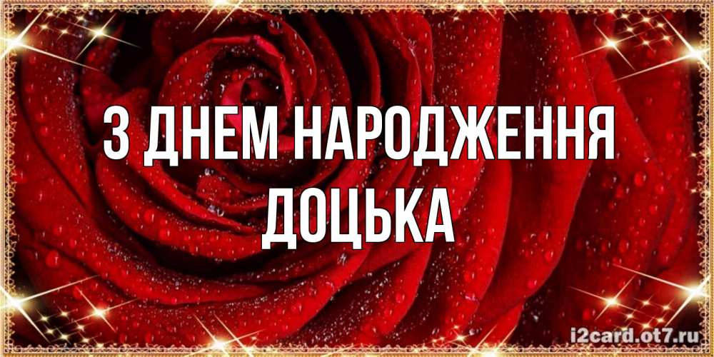 Открытка на каждый день з підписом, Доцька З Днем народження роса на розе блестящая в лучах солнца Прикольна листівка з побажанням онлайн скачати безкоштовно 