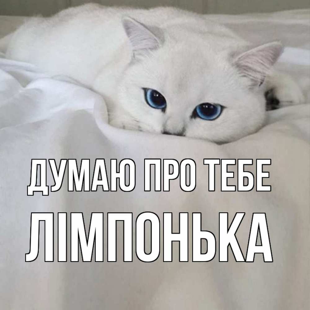 Открытка на каждый день з підписом, Лімпонька Думаю про тебе я очень по тебе скучаю и тоскую Прикольна листівка з побажанням онлайн скачати безкоштовно 
