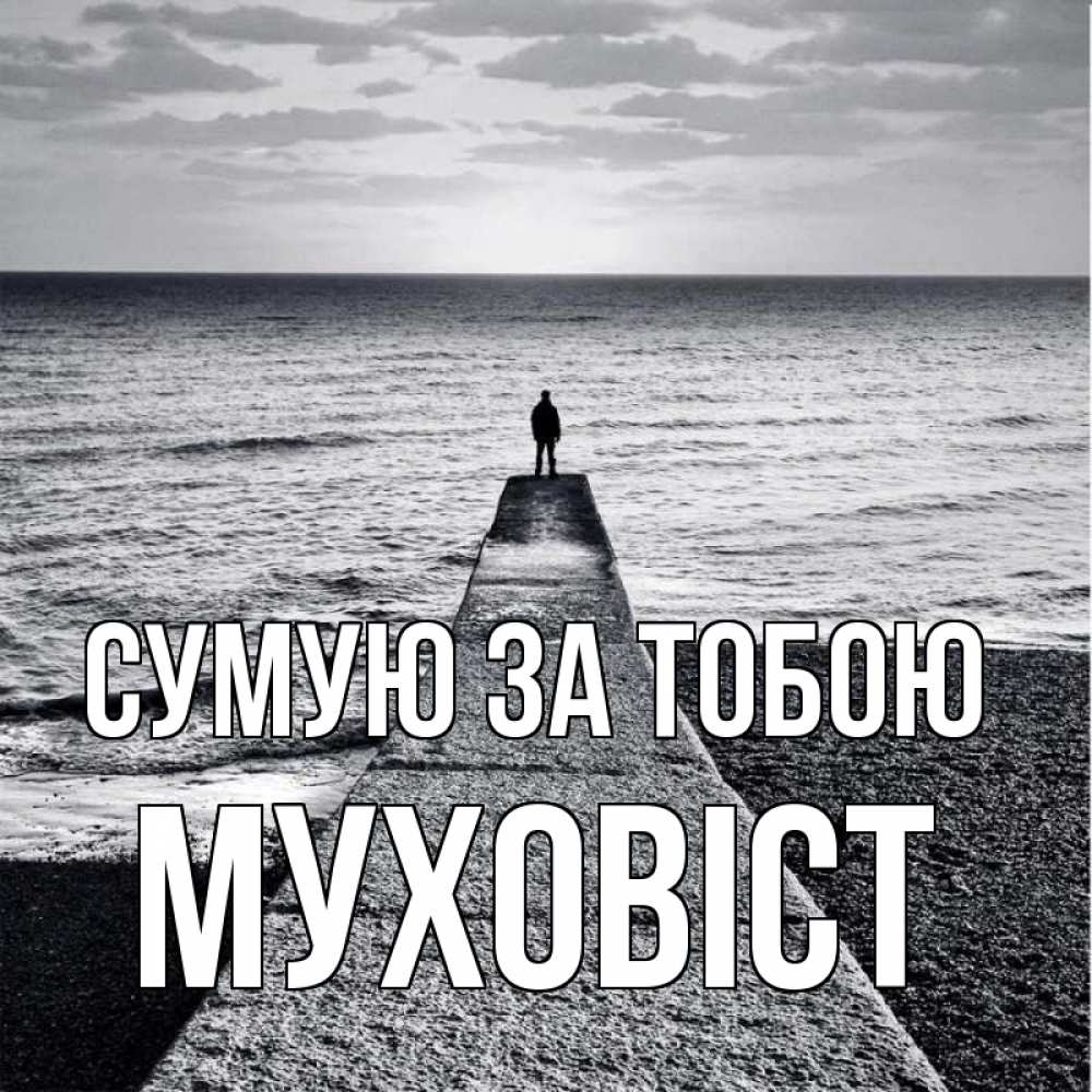 Открытка на каждый день з підписом, Муховіст Сумую за тобою скучашки Прикольна листівка з побажанням онлайн скачати безкоштовно 