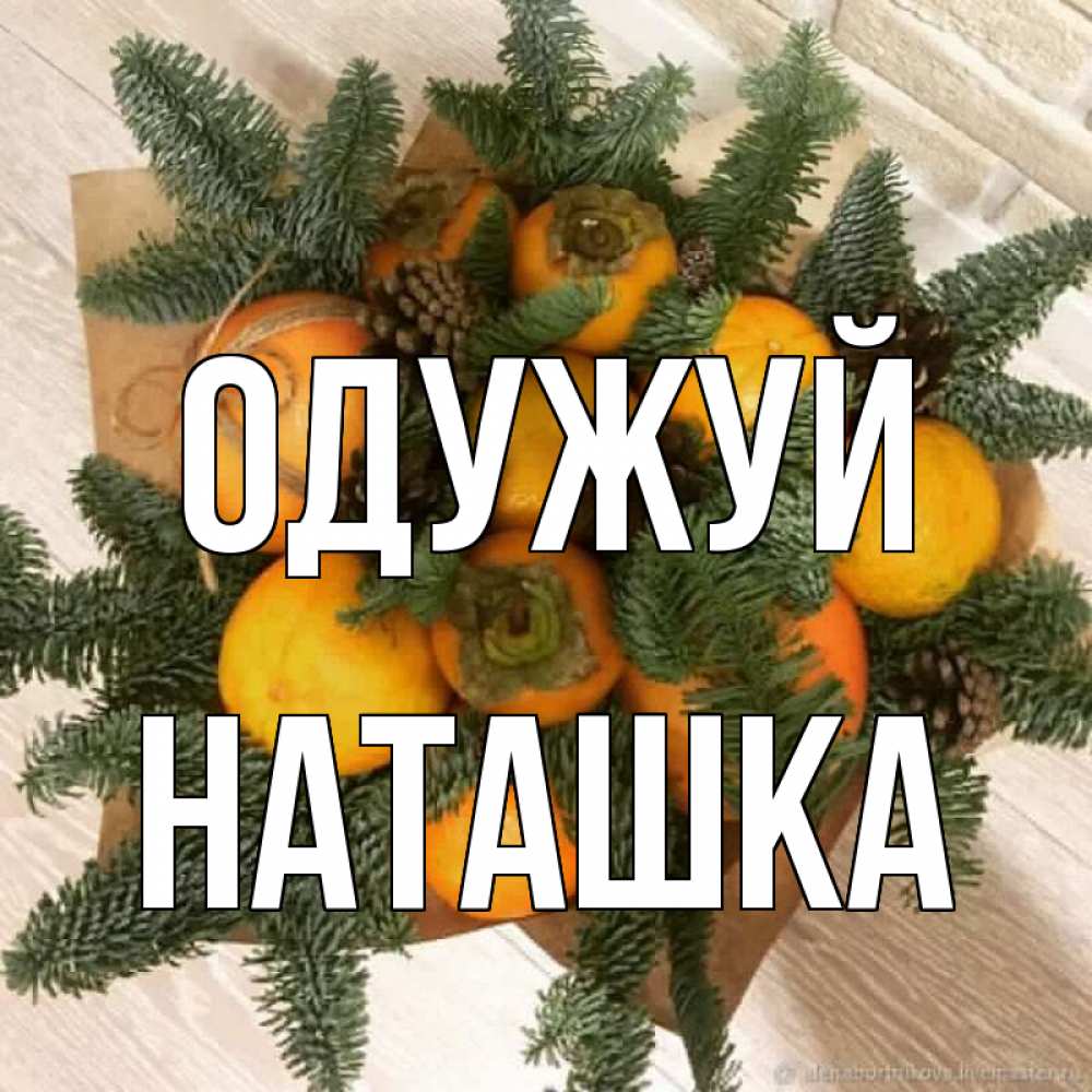 Открытка на каждый день з підписом, Наташка Одужуй апельсины и хурьма Прикольна листівка з побажанням онлайн скачати безкоштовно 