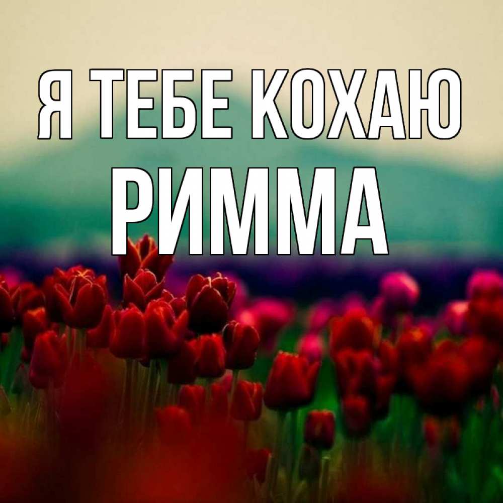 Открытка на каждый день з підписом, Римма Я тебе кохаю тюльпаны 4 Прикольна листівка з побажанням онлайн скачати безкоштовно 
