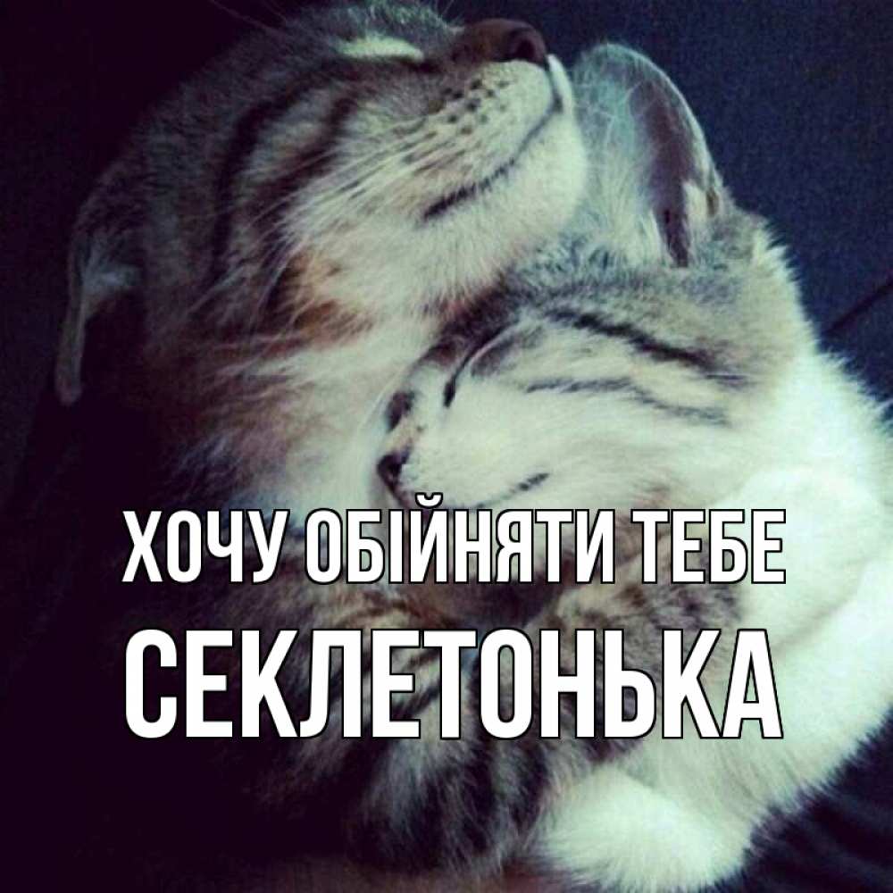 Открытка на каждый день з підписом, Секлетонька Хочу обійняти тебе полосатики Прикольна листівка з побажанням онлайн скачати безкоштовно 
