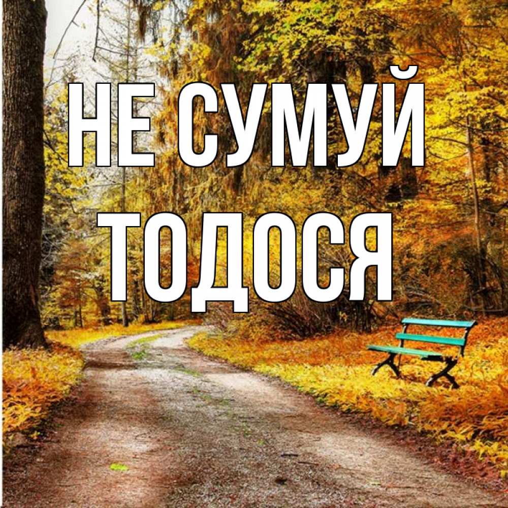 Открытка на каждый день з підписом, Тодося Не сумуй зеленая лавочка Прикольна листівка з побажанням онлайн скачати безкоштовно 