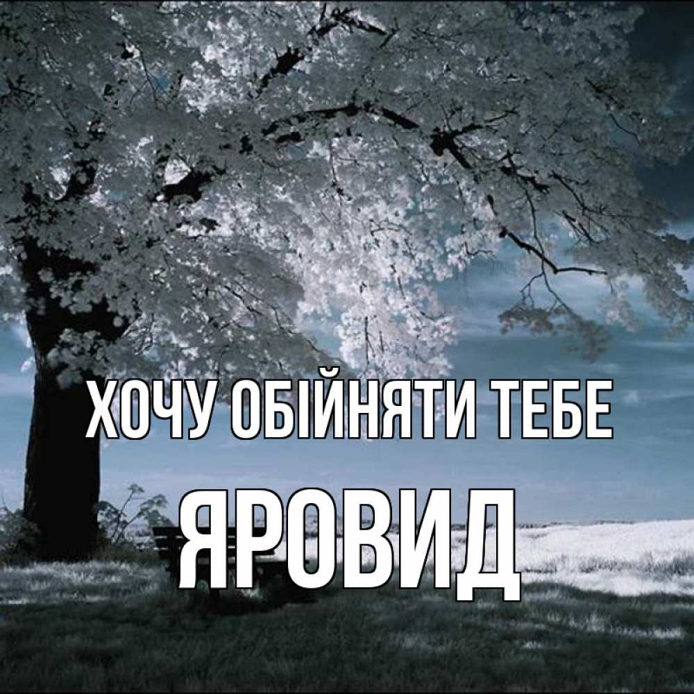 Открытка на каждый день з підписом, Яровид Хочу обійняти тебе дерево Прикольна листівка з побажанням онлайн скачати безкоштовно 