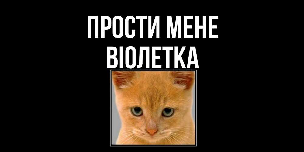 Открытка на каждый день з підписом, Віолетка Прости мене рыжий грустный кот просит прощения Прикольна листівка з побажанням онлайн скачати безкоштовно 
