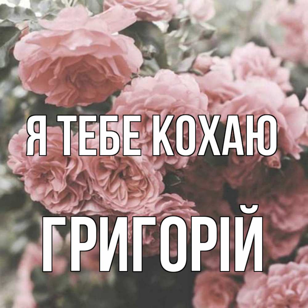Открытка на каждый день з підписом, Григорій Я тебе кохаю розы 3 Прикольна листівка з побажанням онлайн скачати безкоштовно 