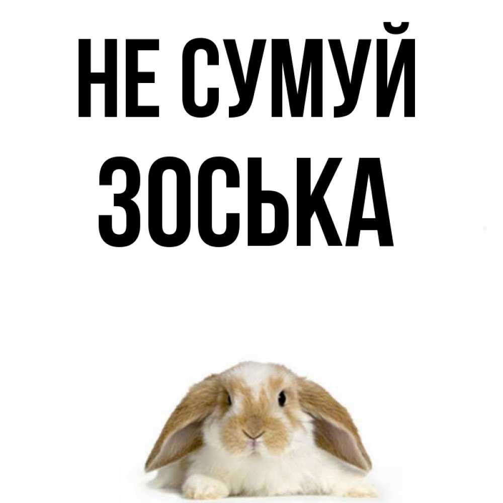 Открытка на каждый день з підписом, Зоська Не сумуй коричнево белый заяц с большими ушками Прикольна листівка з побажанням онлайн скачати безкоштовно 