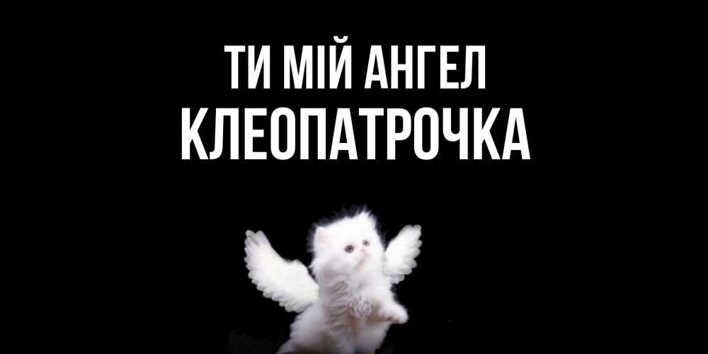 Открытка на каждый день з підписом, Клеопатрочка Ти мій ангел Кот ангел Прикольна листівка з побажанням онлайн скачати безкоштовно 