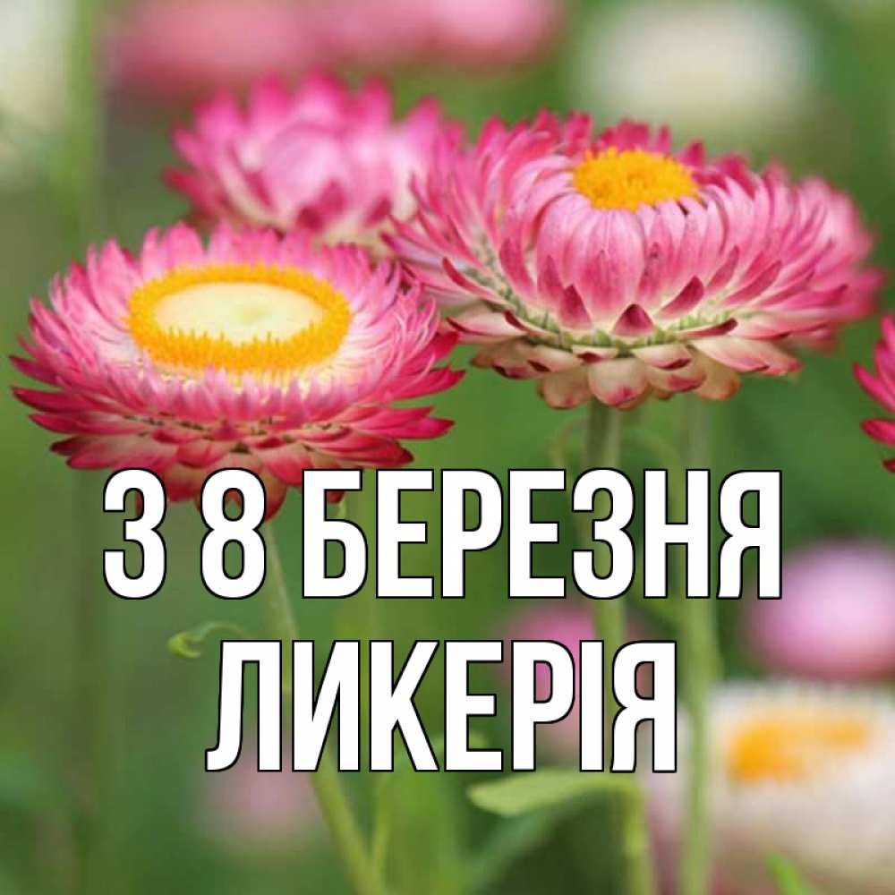 Открытка на каждый день з підписом, Ликерія З 8 БЕРЕЗНЯ подарок на международный женский день Прикольна листівка з побажанням онлайн скачати безкоштовно 