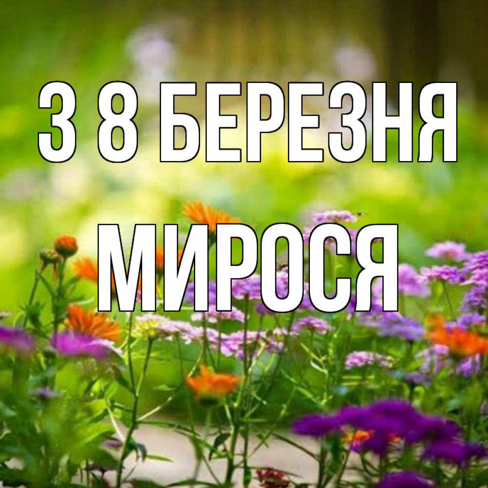 Открытка на каждый день з підписом, Мирося З 8 БЕРЕЗНЯ цветы Прикольна листівка з побажанням онлайн скачати безкоштовно 