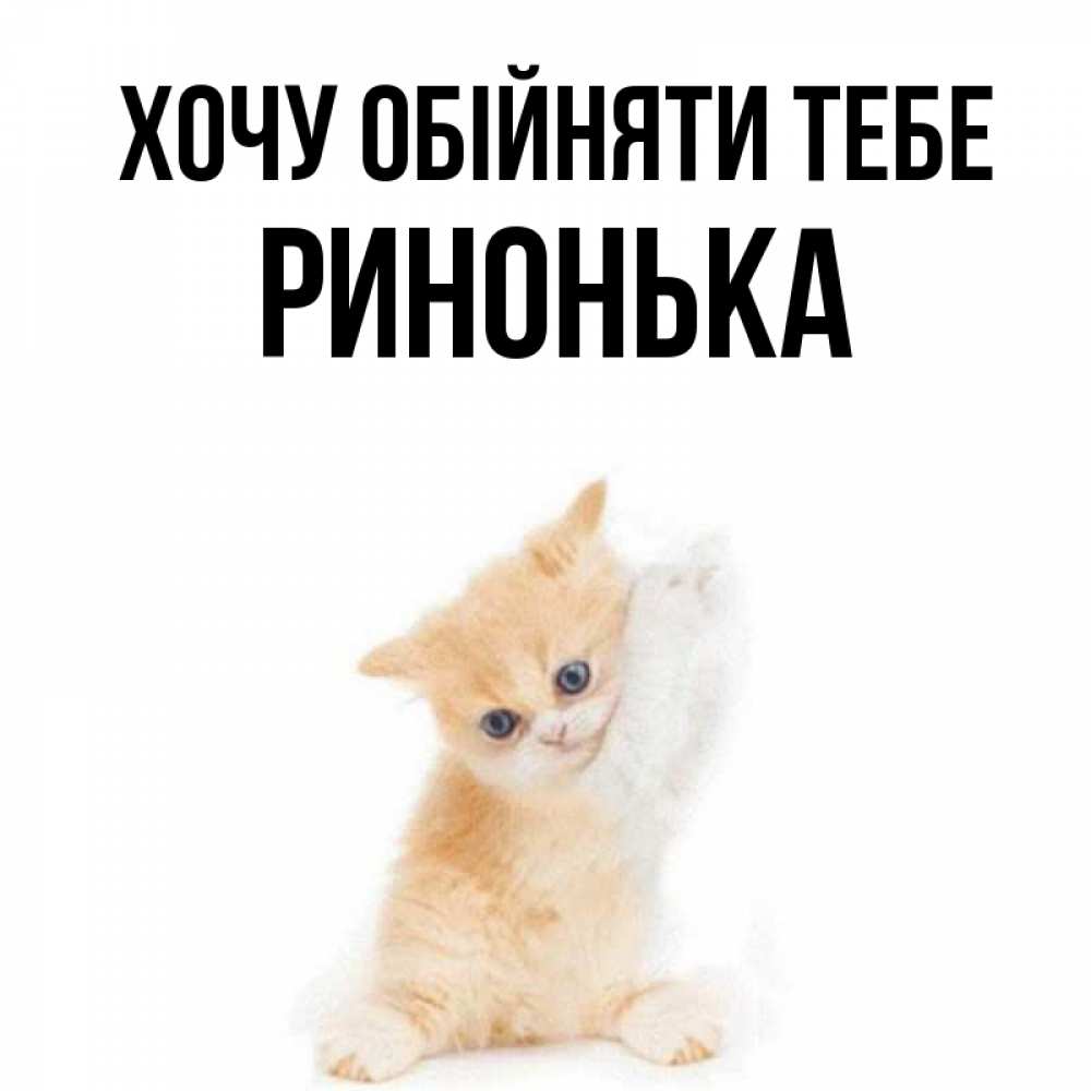 Открытка на каждый день з підписом, Ринонька Хочу обійняти тебе я хочу очень скорее обнимаешек Прикольна листівка з побажанням онлайн скачати безкоштовно 