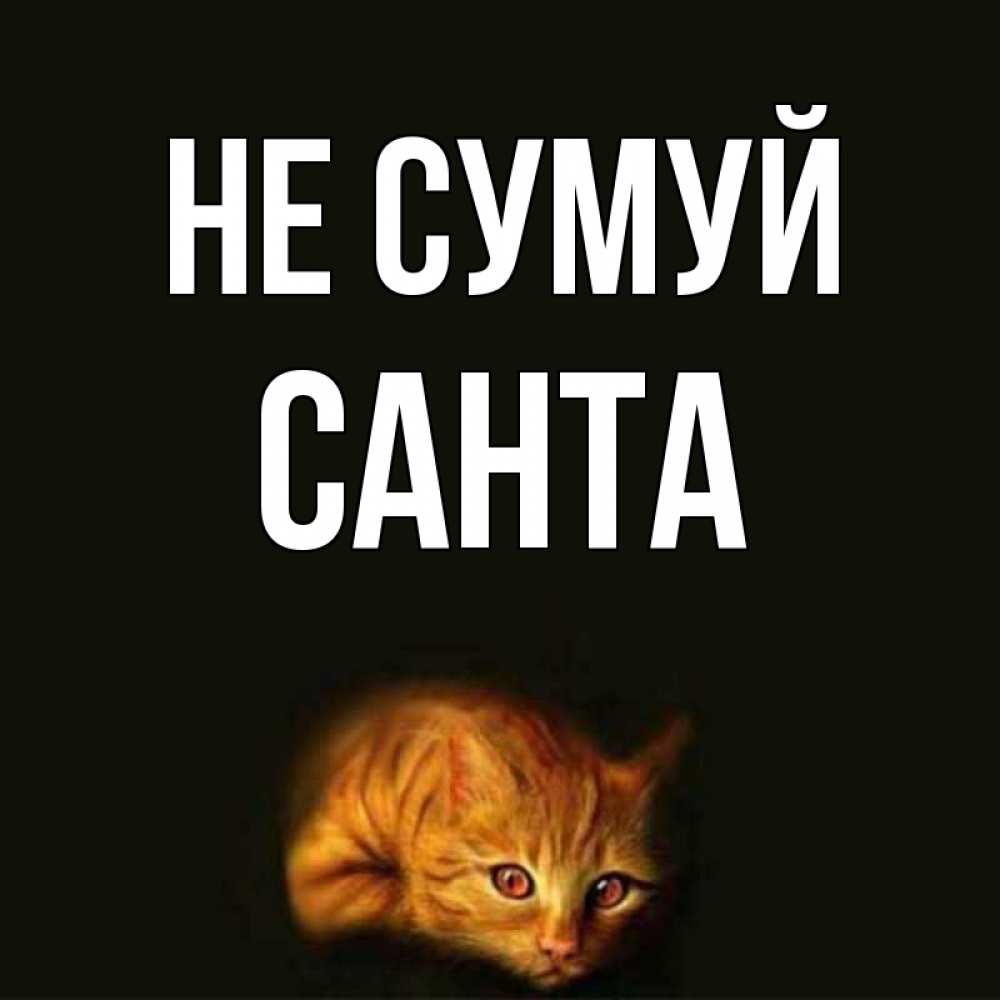 Открытка на каждый день з підписом, Санта Не сумуй лежащий кот в темноте Прикольна листівка з побажанням онлайн скачати безкоштовно 